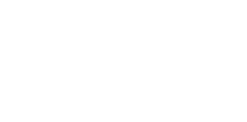 TelMex logo (white)